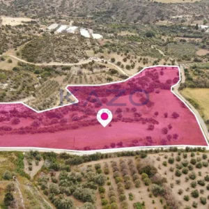 23,414m² Plot for Sale in Agios Theodoros, Larnaca District