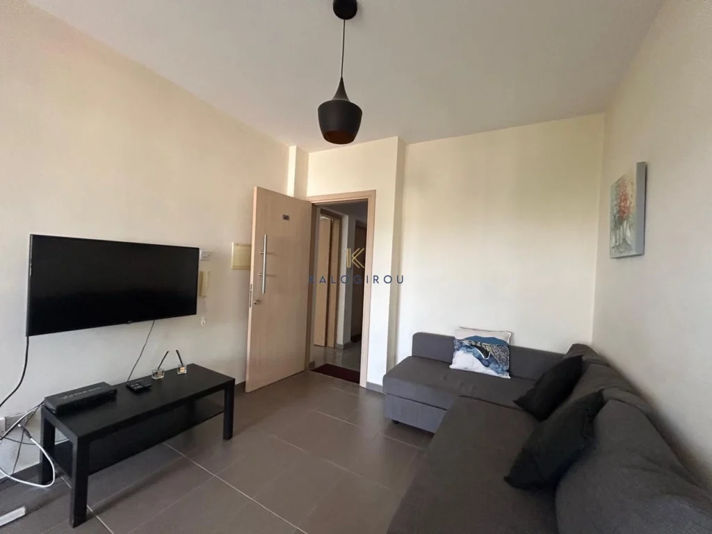 1 Bedroom Apartment for Rent in Larnaca District