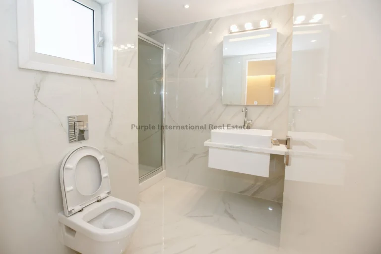 2 Bedroom Apartment for Rent in Limassol District