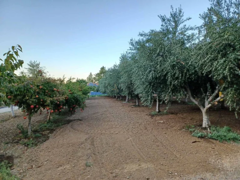 Cheap Houses and Villas for Sale Nicosia up to 900000 euro