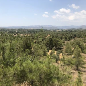 1,654m² Plot for Sale in Kornos, Larnaca District