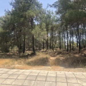 1,633m² Plot for Sale in Kornos, Larnaca District