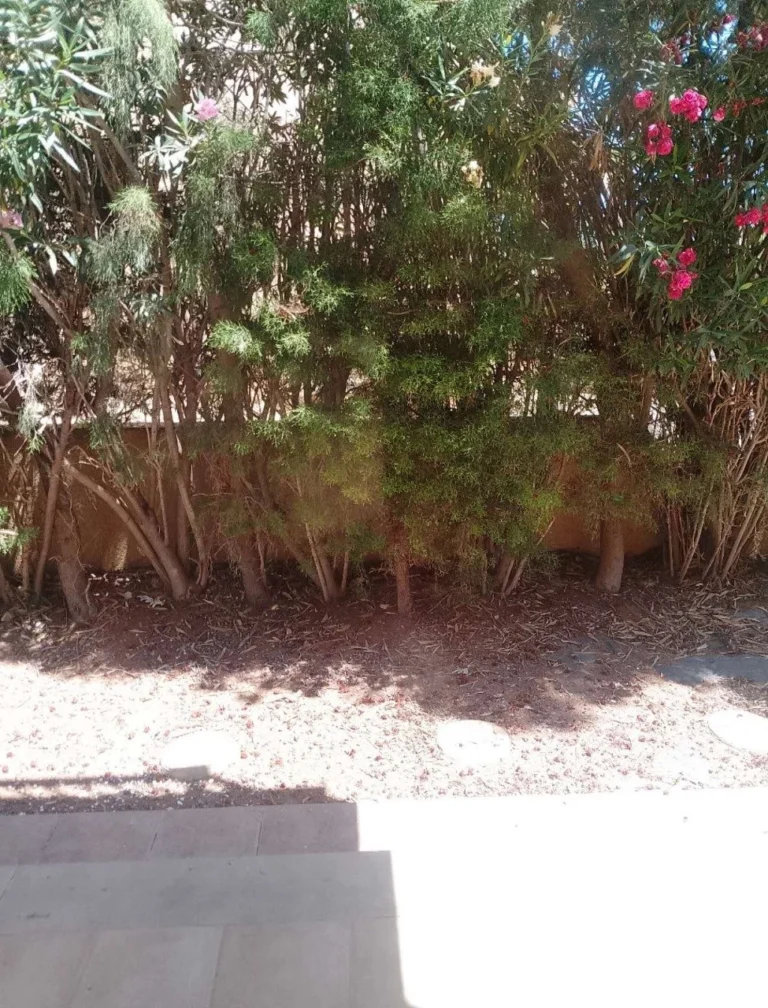 4 Bedroom House for Sale in Mouttagiaka, Limassol District