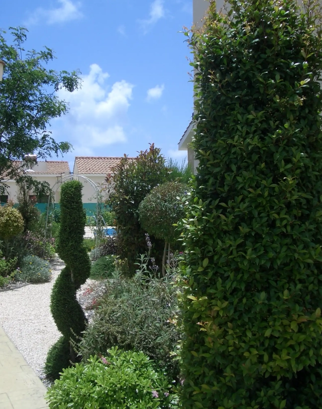 3 Bedroom House for Sale in Paphos District