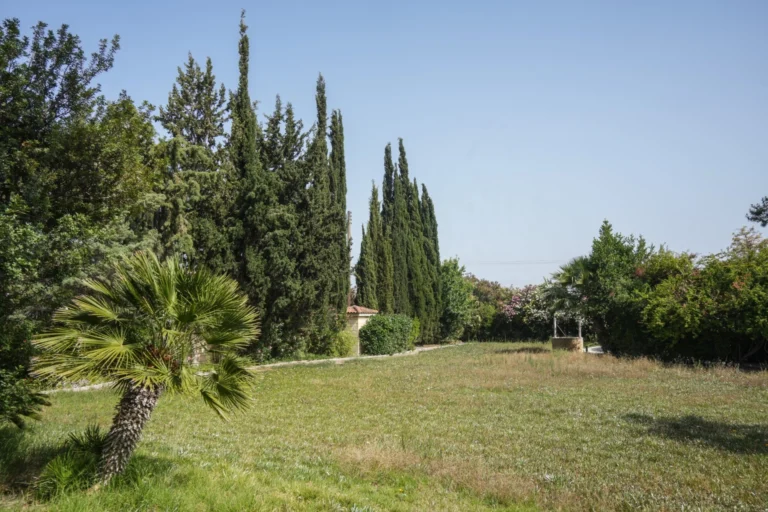 5 Bedroom House for Sale in Alethriko, Larnaca District