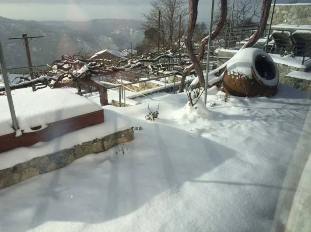 2 Bedroom House for Sale in Prodromos, Limassol District