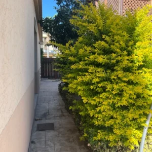 4 Bedroom House for Sale in Mouttagiaka, Limassol District