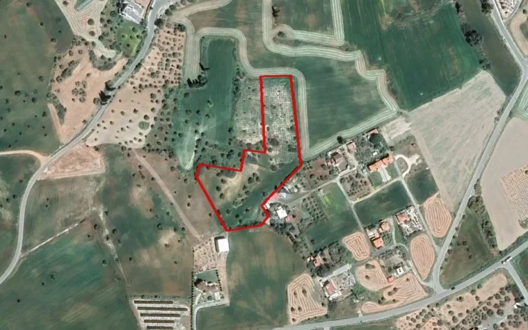 for Sale in Mazotos, Larnaca District