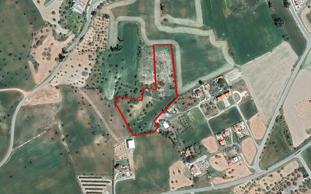 for Sale in Mazotos, Larnaca District