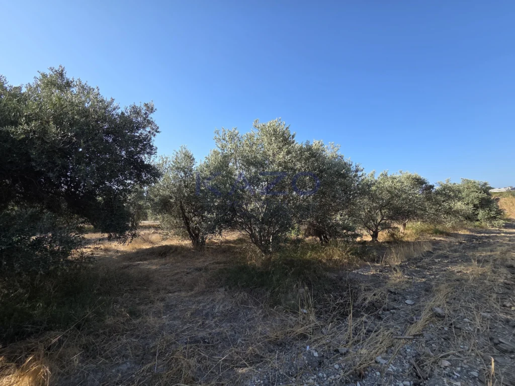 2,340m² Plot for Sale in Erimi, Limassol District