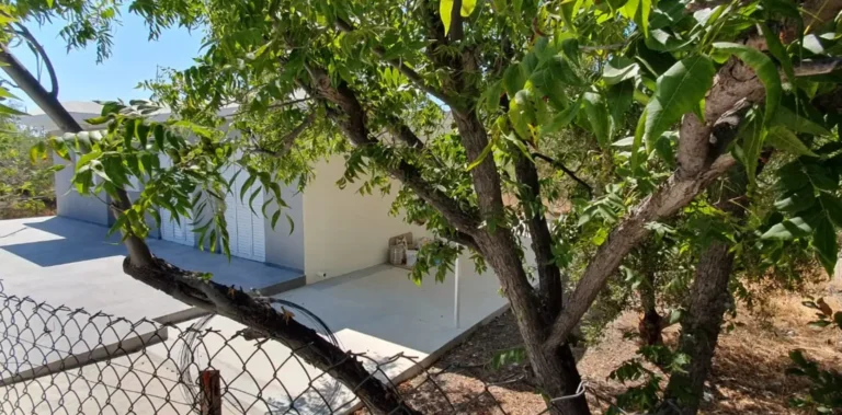 3 Bedroom House for Sale in Choletria, Paphos District