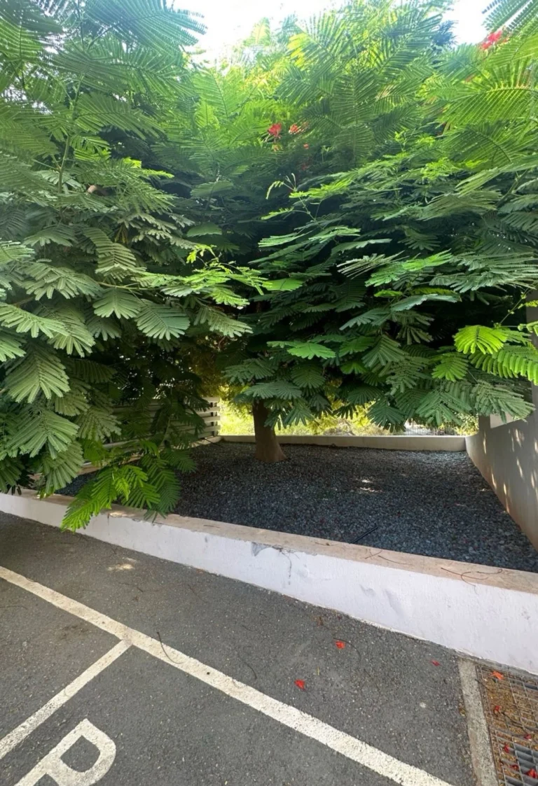 3 Bedroom Apartment for Rent in Mouttagiaka Tourist Area, Limassol District