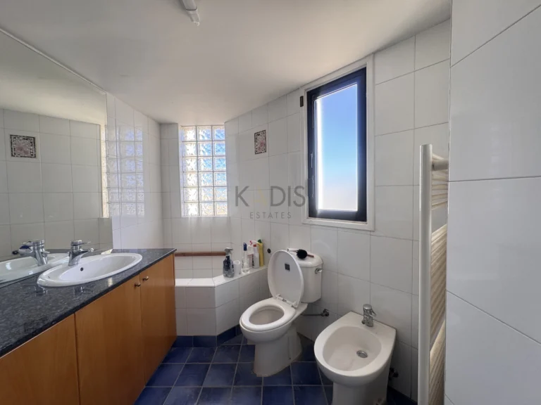 Cheap Houses and Villas for Sale Nicosia up to 600000 euro