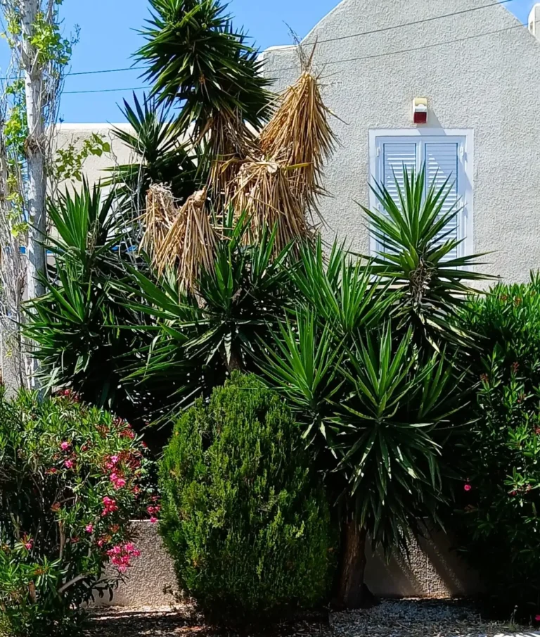 3 Bedroom House for Sale in Paphos – Universal