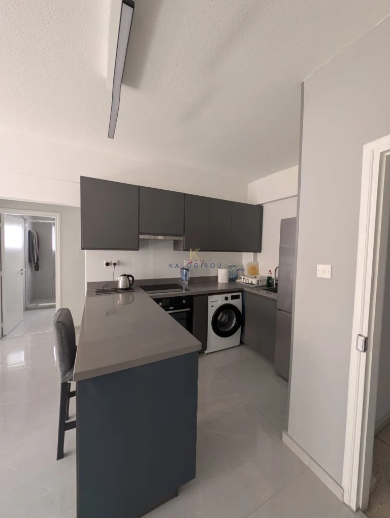 2 Bedroom Apartment for Rent in Larnaca District