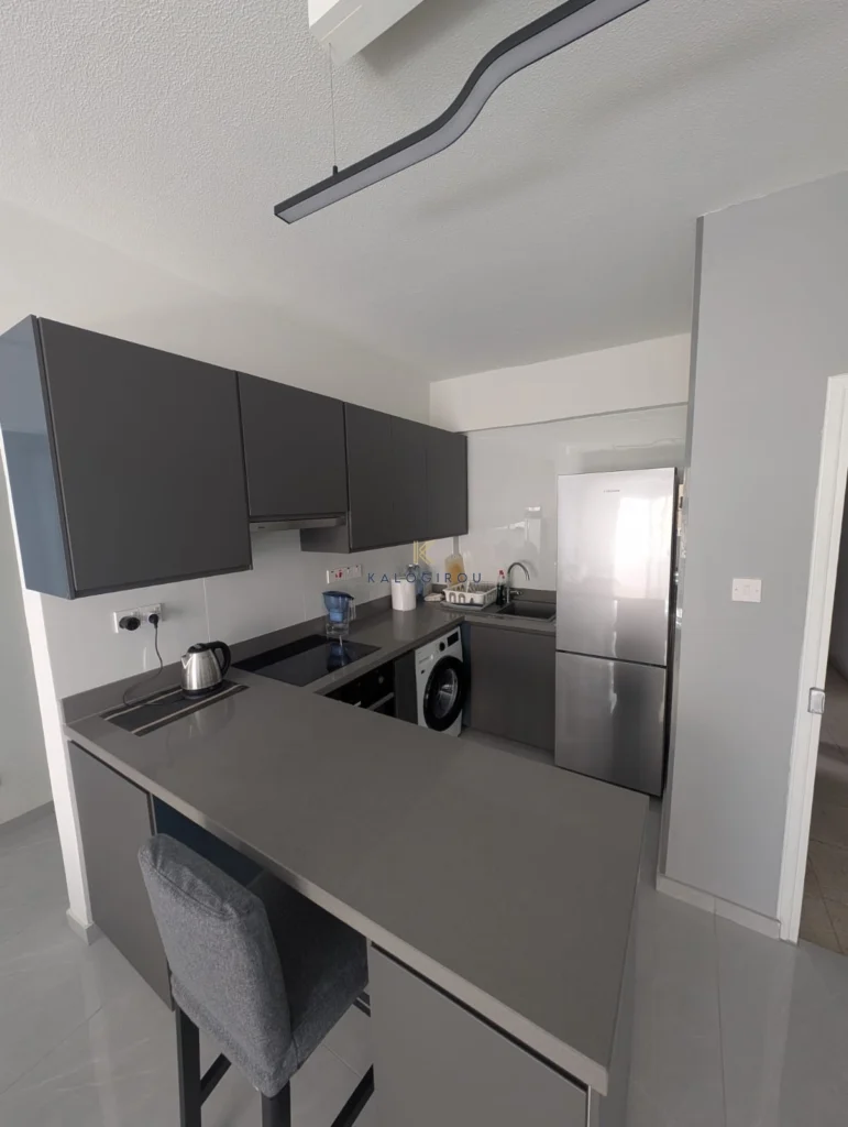 2 Bedroom Apartment for Rent in Larnaca District