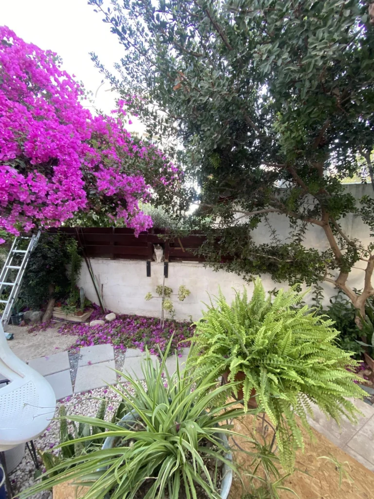 3 Bedroom House for Sale in Limassol – Agios Athanasios