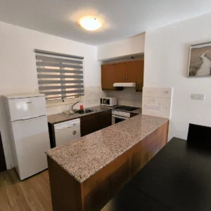 2 Bedroom Apartment for Rent in Tersefanou, Larnaca District