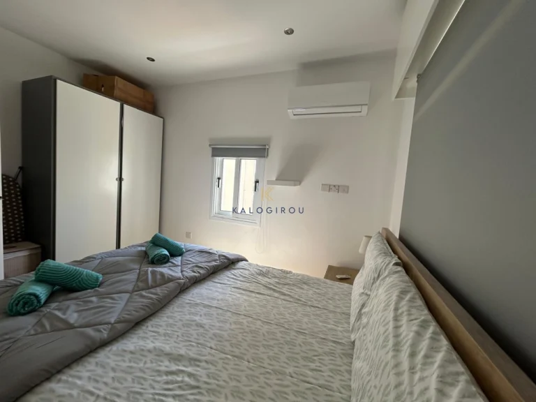 2 Bedroom Apartment for Rent in Larnaca District