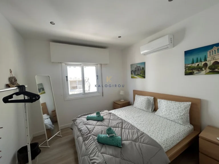 2 Bedroom Apartment for Rent in Larnaca District