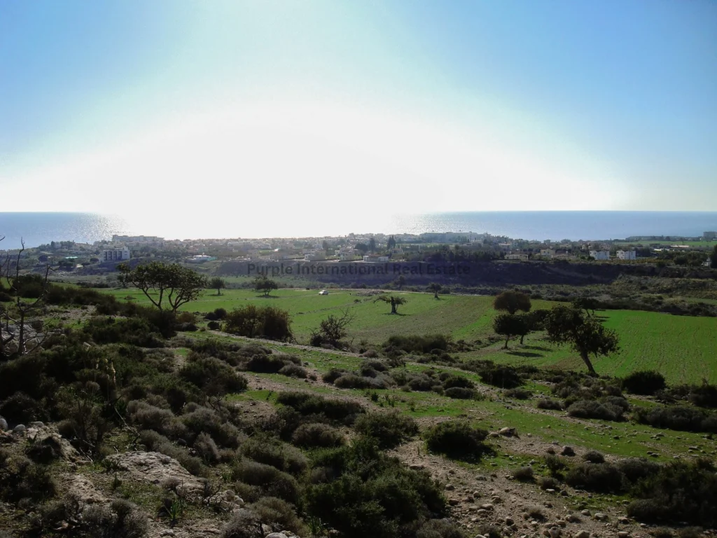 12,496m² Plot for Sale in Peyia, Paphos District