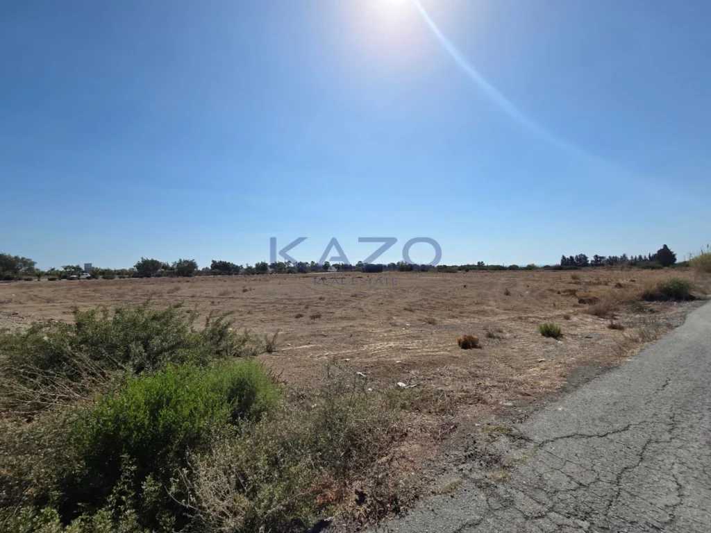 7,944m² Plot for Sale in Zygi, Larnaca District