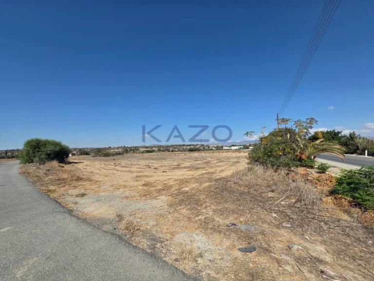 7,944m² Plot for Sale in Zygi, Larnaca District