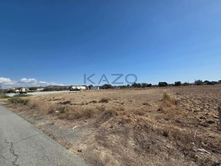7,944m² Plot for Sale in Zygi, Larnaca District