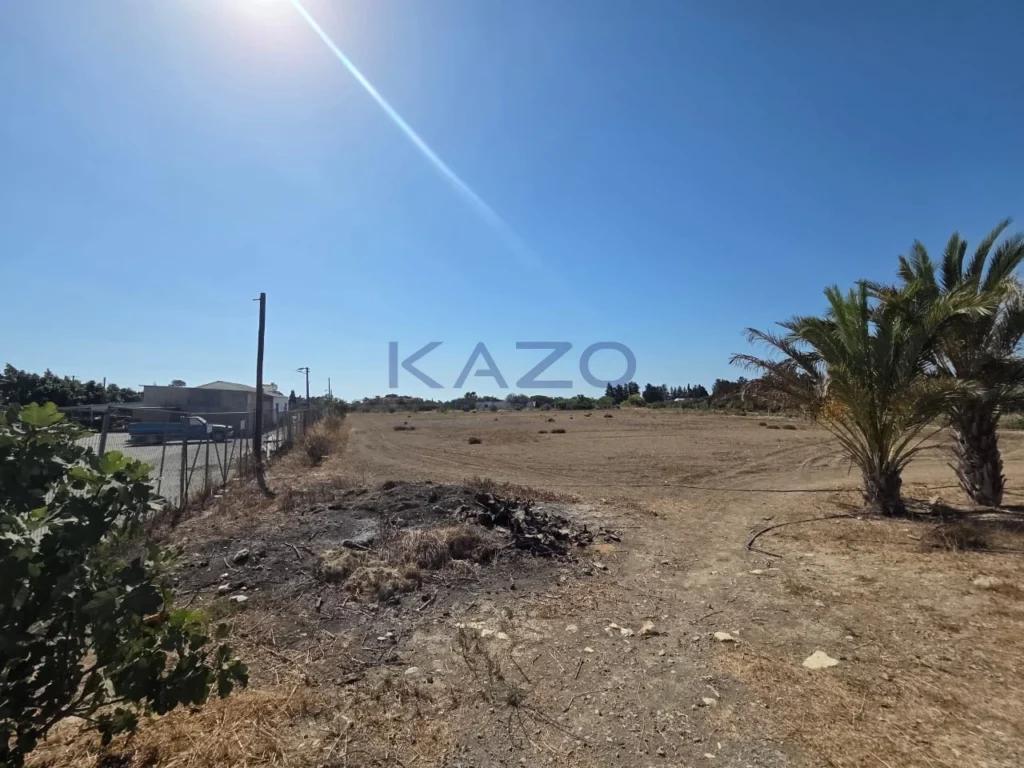 14,772m² Plot for Sale in Zygi, Larnaca District
