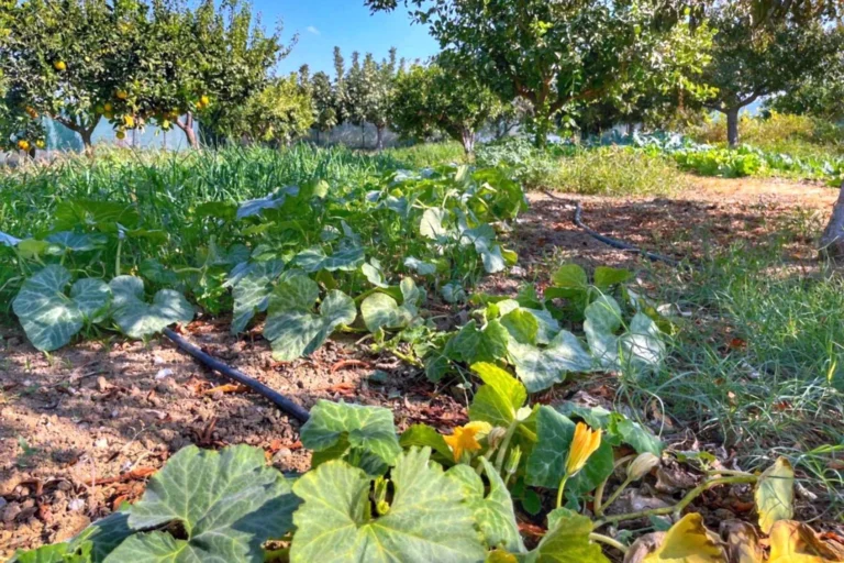 3 Bedroom House for Sale in Maroni, Larnaca District