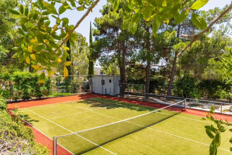 6+ Bedroom House for Sale in Souni, Limassol District