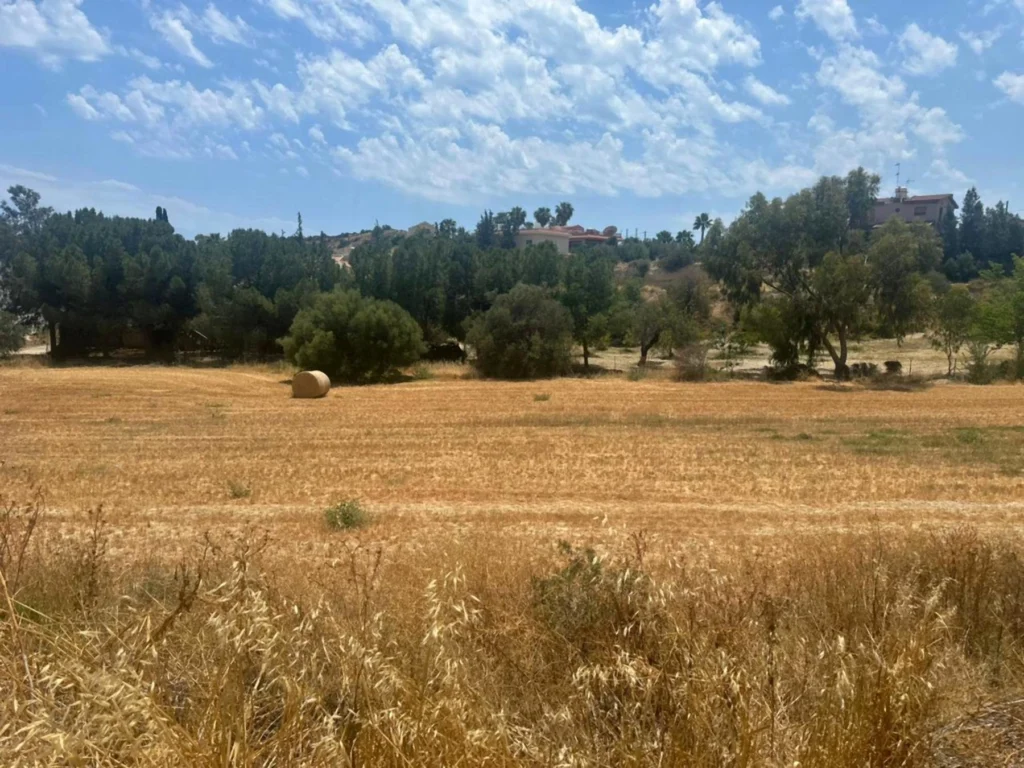 6,292m² Plot for Sale in Agios Tychonas, Limassol District