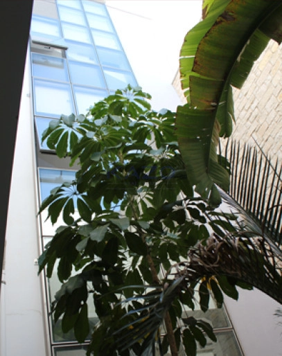 1189m² Building for Rent in Limassol District
