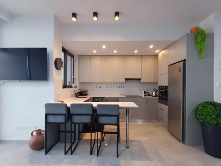 2 Bedroom Apartment for Rent in Larnaca District