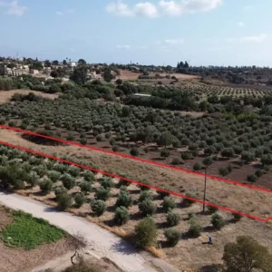3,345m² Plot for Sale in Agia Varvara, Paphos District