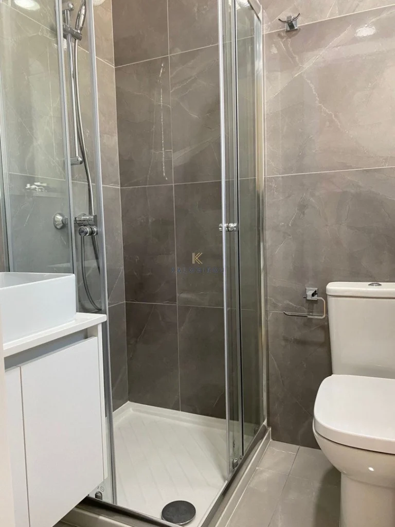 2 Bedroom Apartment for Rent in Larnaca District