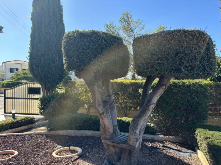 4 Bedroom House for Sale in Paphos District