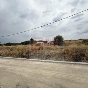 1,250m² Plot for Sale in Moni, Limassol District