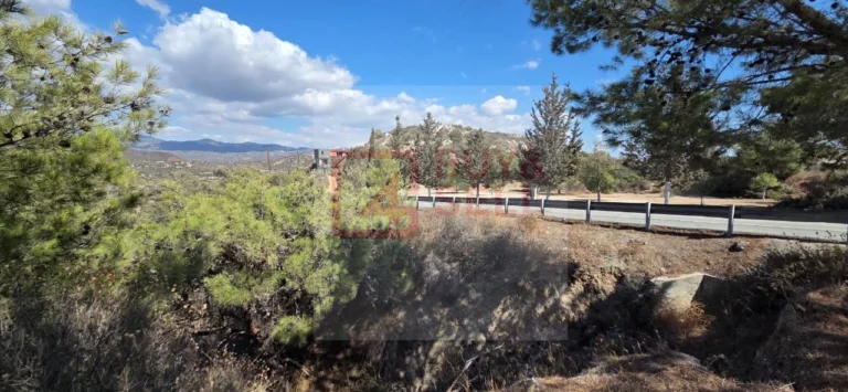 29,182m² Plot for Sale in Asgata, Limassol District