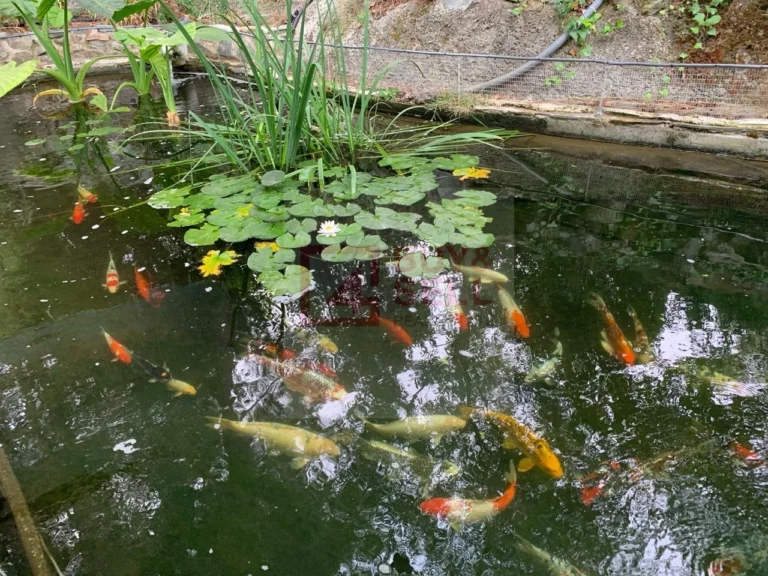 3 Bedroom House for Sale in Kapedes, Nicosia District