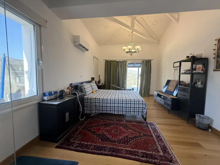 4 Bedroom House for Sale in Akrounta, Limassol District