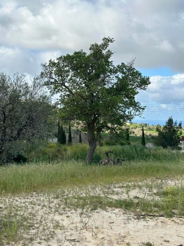 526m² Plot for Sale in Armou, Paphos District