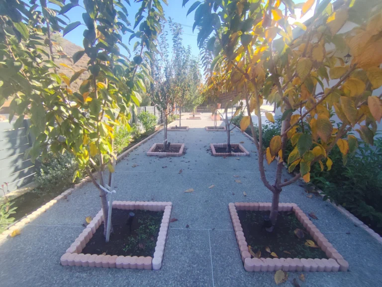 3 Bedroom House for Sale in Kalo Chorio Lemesou, Limassol District