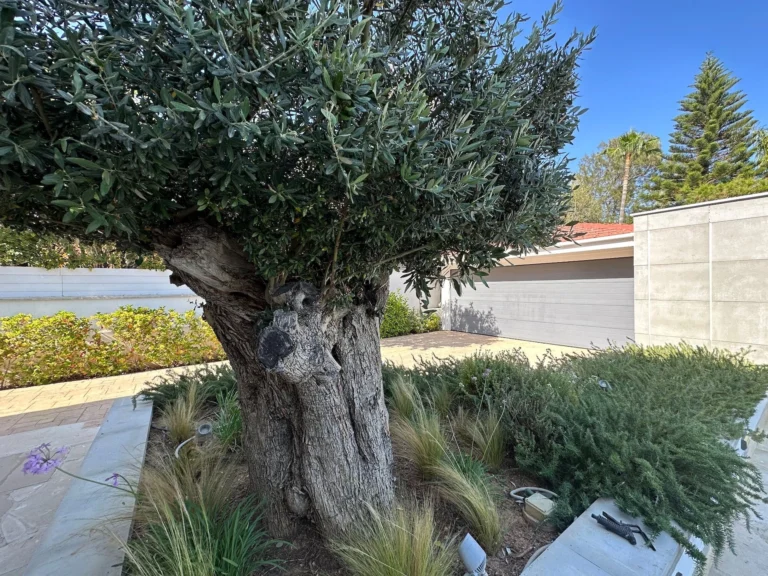 5 Bedroom House for Sale in Limassol District