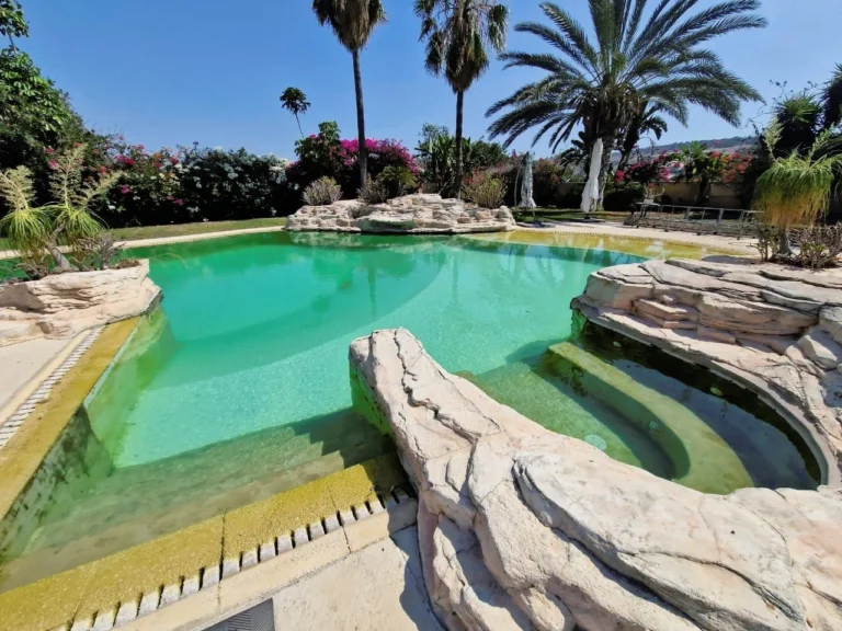 5 Bedroom House for Sale in Parekklisia, Limassol District