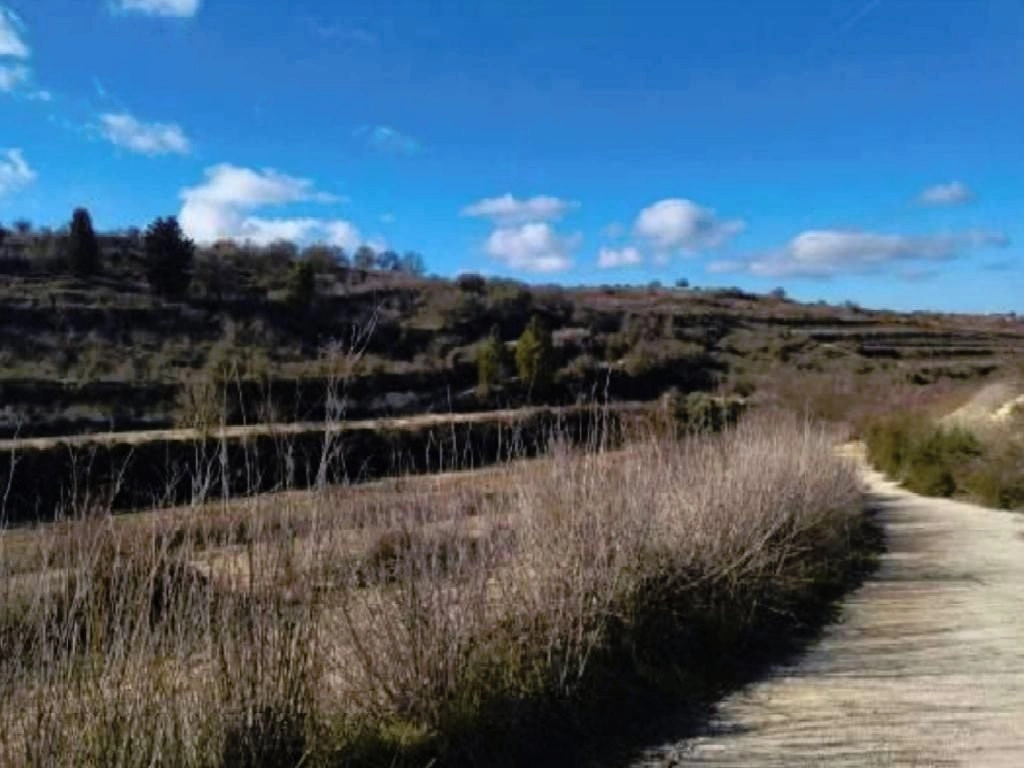 13,156m² Plot for Sale in Kathikas, Paphos District