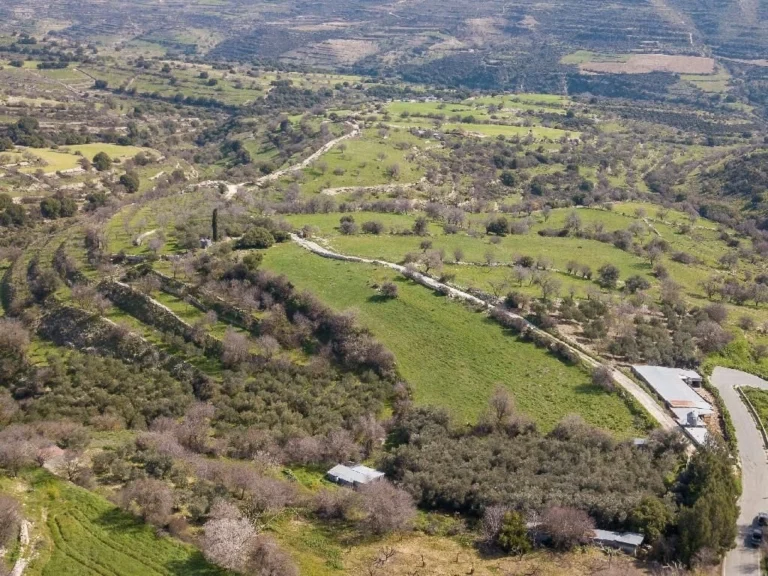4,260m² Plot for Sale in Dora, Limassol District