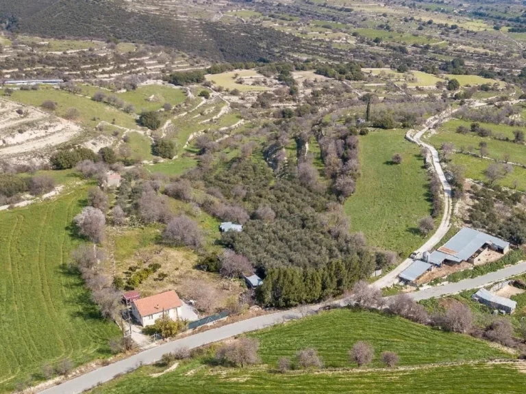 4,260m² Plot for Sale in Dora, Limassol District