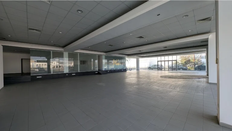 1392m² Commercial for Sale in Nicosia – Kaimakli