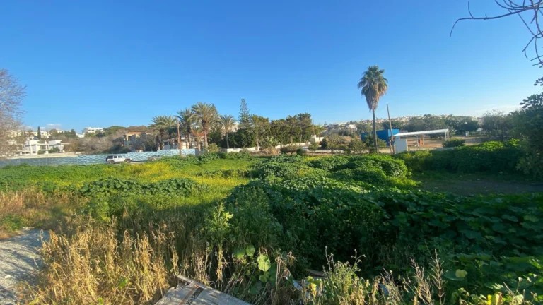 2,000m² Plot for Sale in Chlorakas, Paphos District